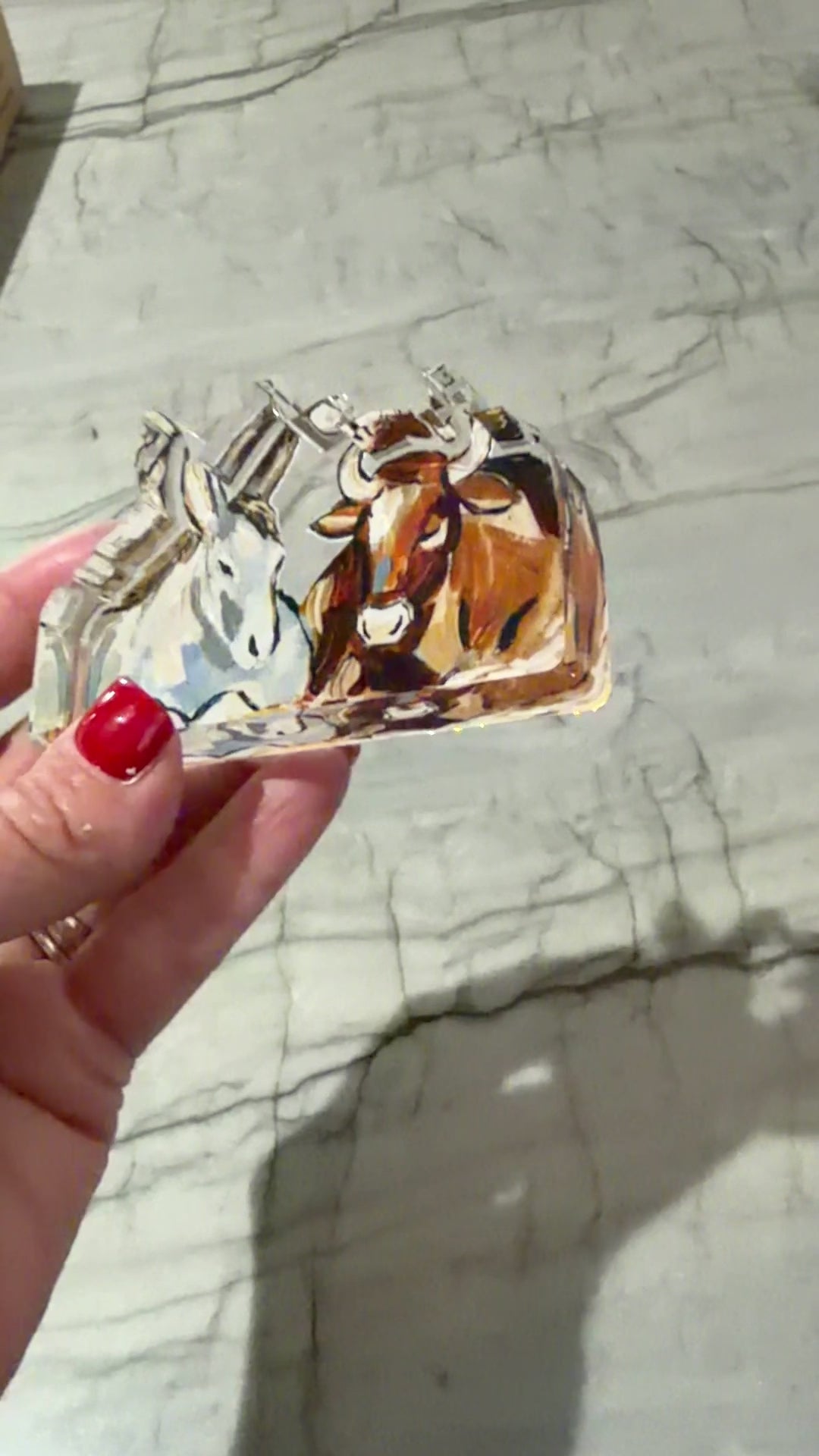 5 Piece Acrylic Nativity